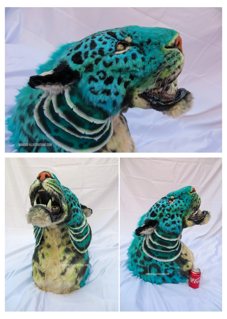 "Jaguar", Lauren Rouse