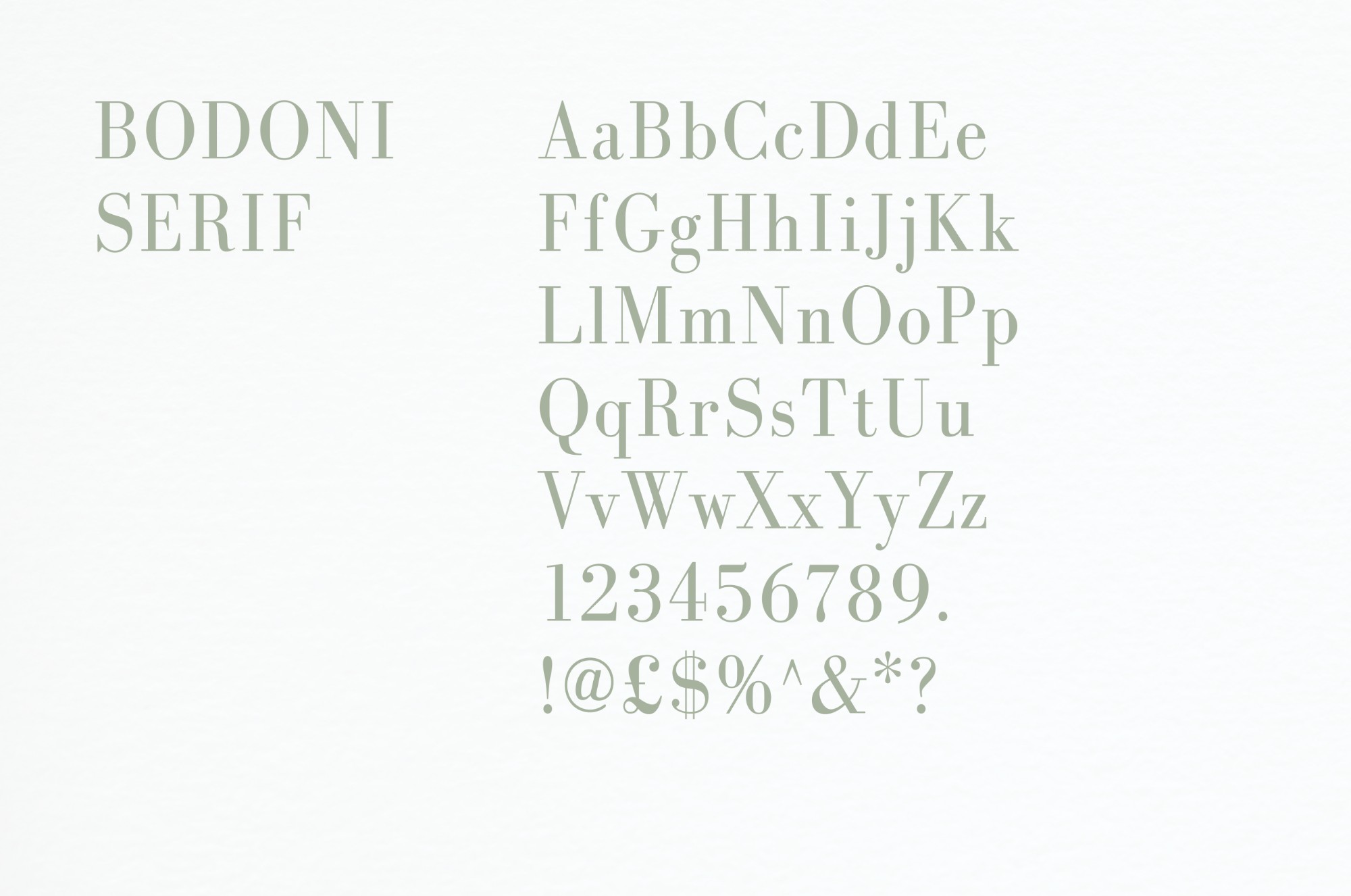 Typeface