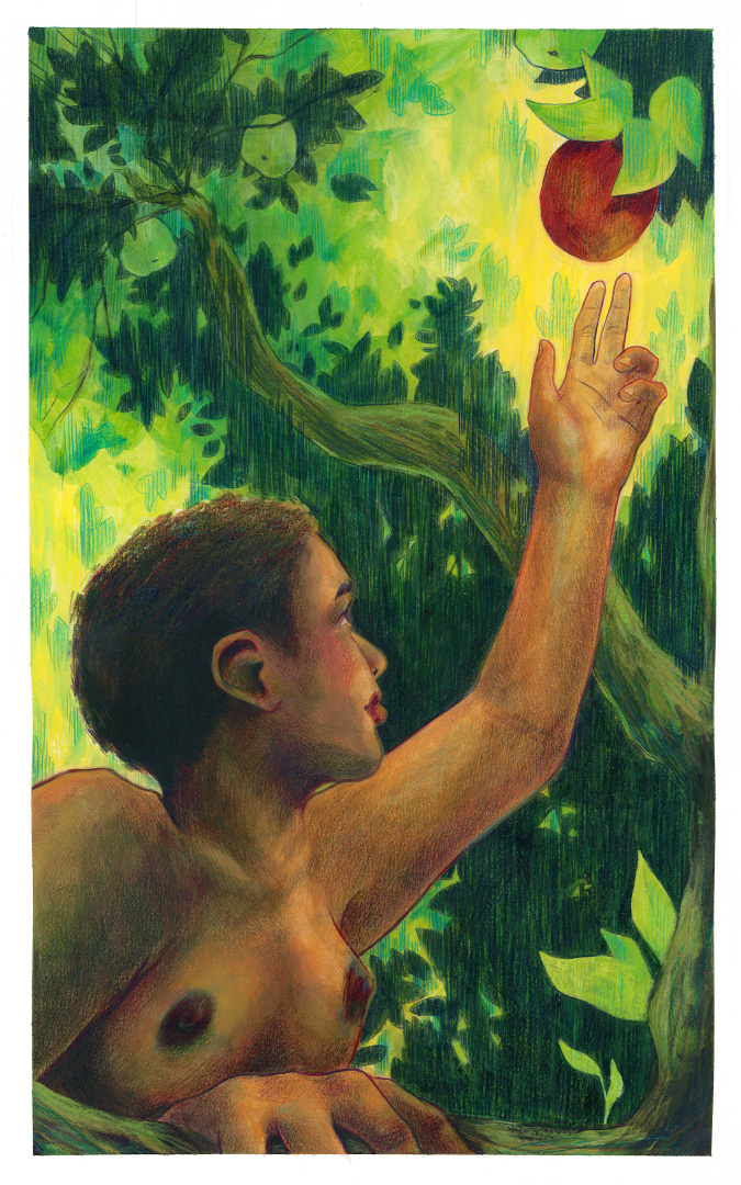 Illustration based on the biblical story of Eve, from a series of stories featuring curious women