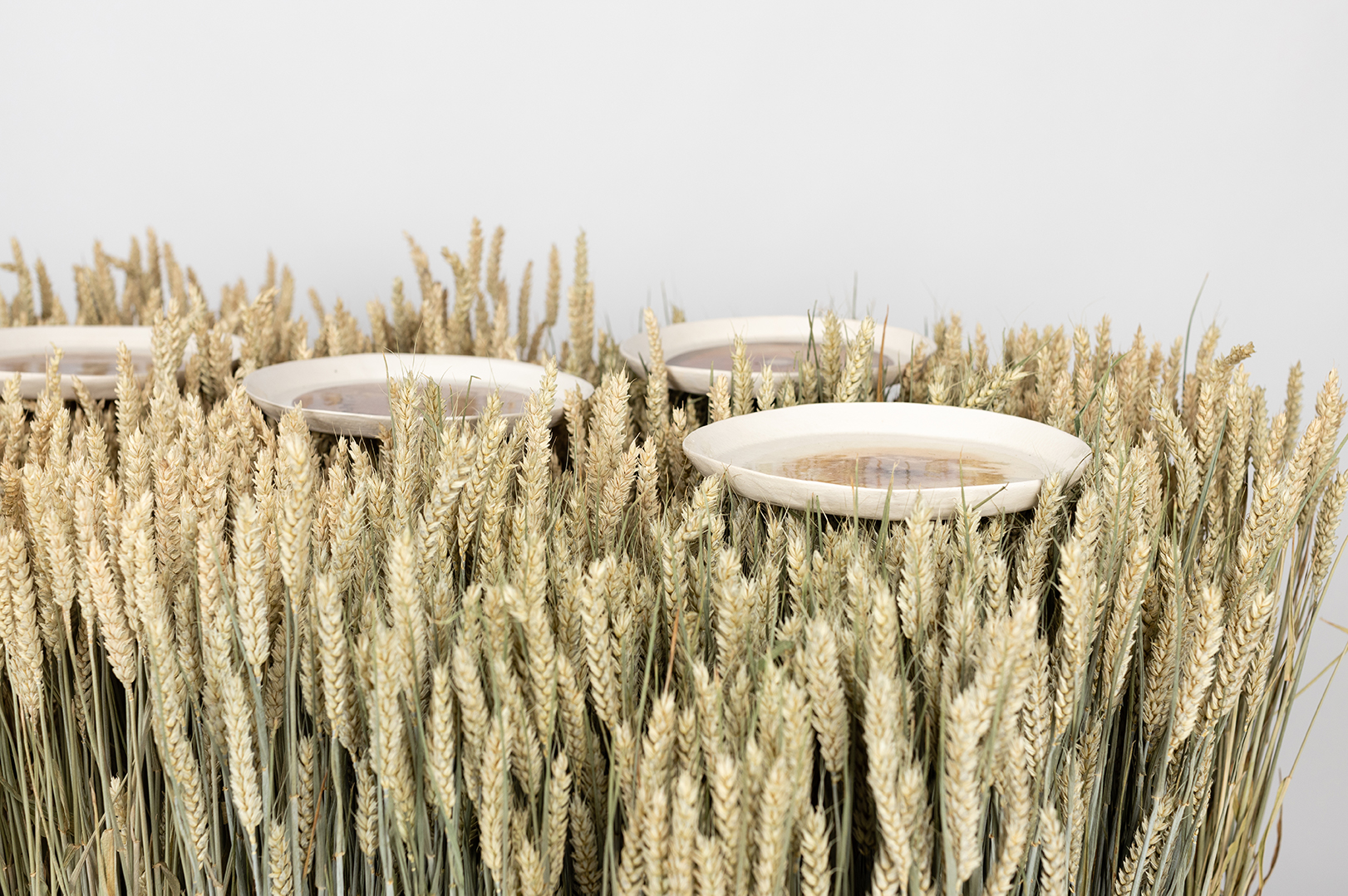 The security dilemma, 2022. Installation - printed ceramics, wheat stalks, wooden drawer, wheeled boards. 100 cm x 100 cm x 70 cm (detail view).