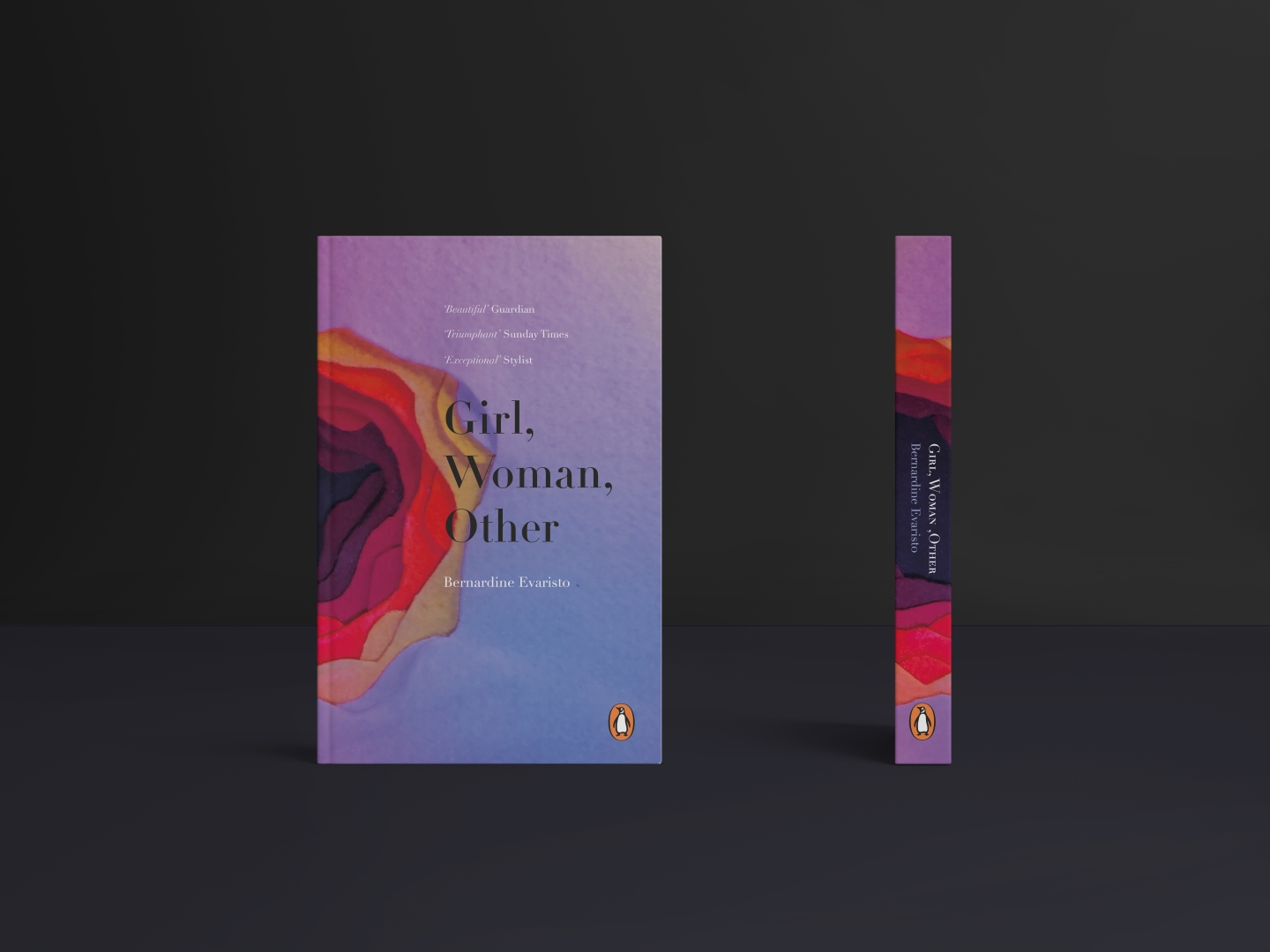 Penguin contest: book cover the fiction category, option 1, dye-cut and photographed 