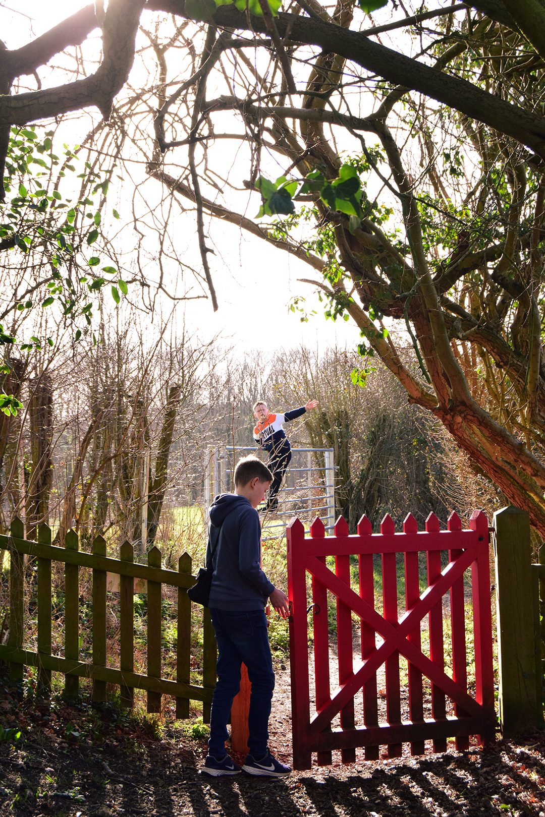 Two Brothers and a Red Gate